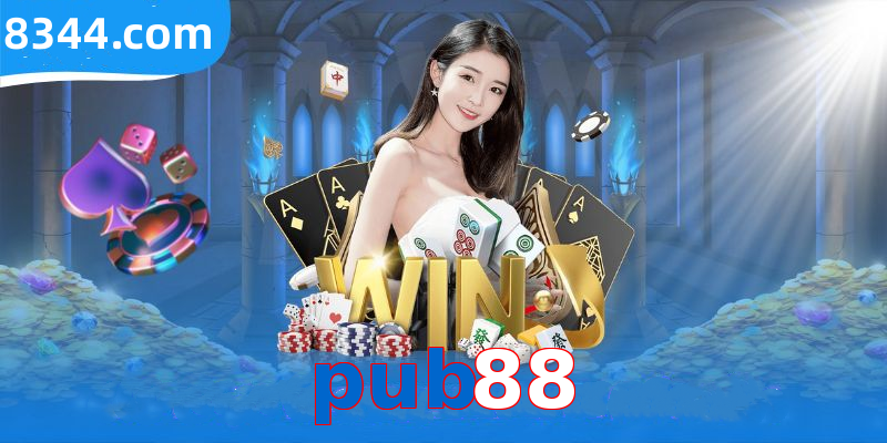 pub88